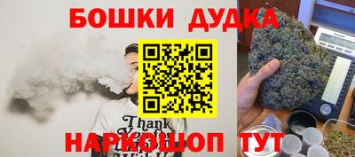 СК Кингисепп